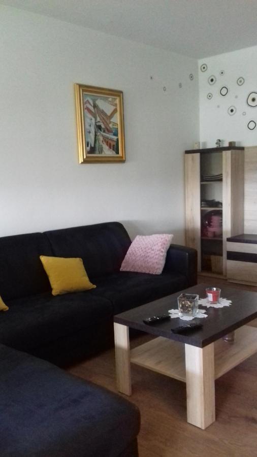 Apartmán Apartman Lana ,Froudeova Ulica 3 Nasuprot Zg Velesajma Záhřeb Exteriér fotografie